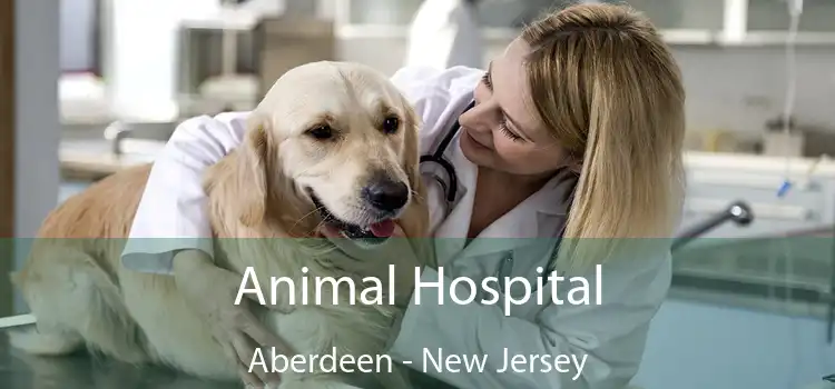 Animal Hospital Aberdeen - New Jersey