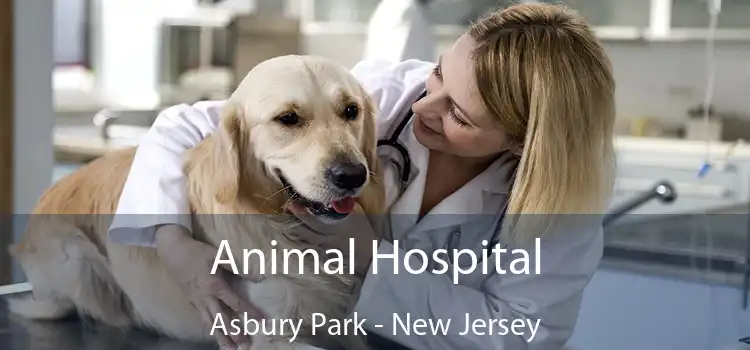 Animal Hospital Asbury Park - New Jersey