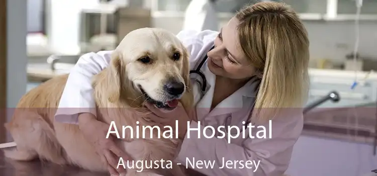 Animal Hospital Augusta - New Jersey