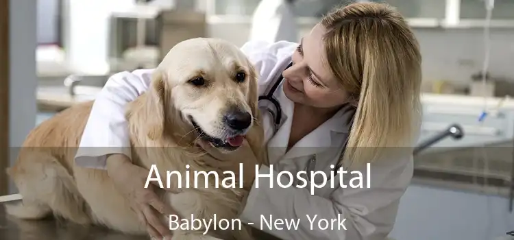 Animal Hospital Babylon - New York