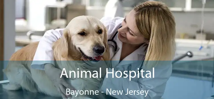 Animal Hospital Bayonne - New Jersey