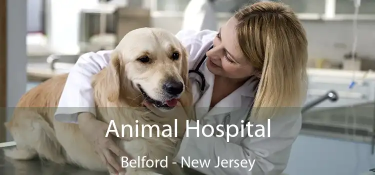 Animal Hospital Belford - New Jersey