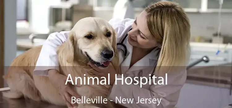 Animal Hospital Belleville - New Jersey