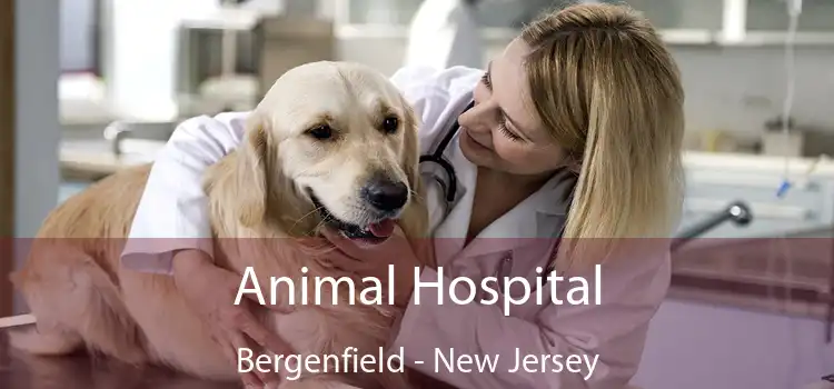 Animal Hospital Bergenfield - New Jersey