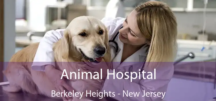 Animal Hospital Berkeley Heights - New Jersey