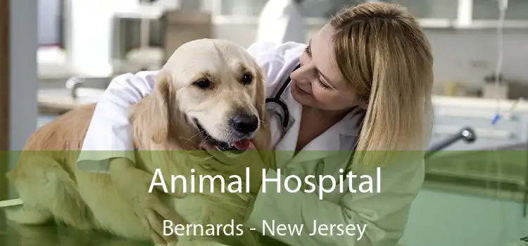 Animal Hospital Bernards - New Jersey