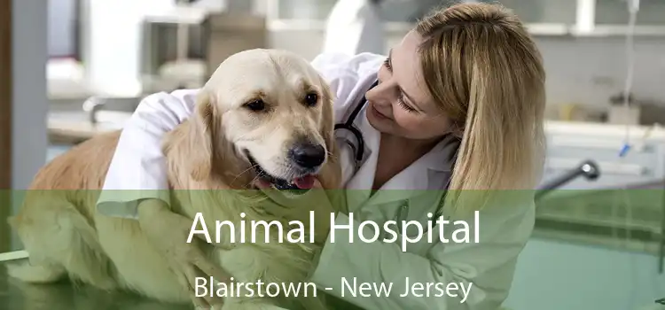 Animal Hospital Blairstown - New Jersey