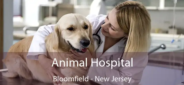 Animal Hospital Bloomfield - New Jersey