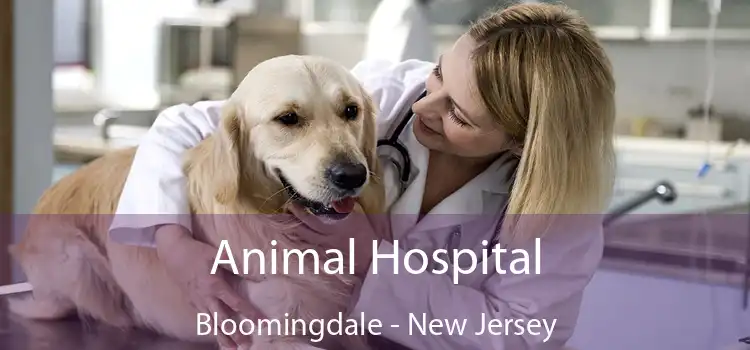 Animal Hospital Bloomingdale - New Jersey