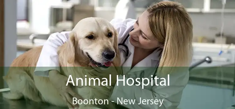 Animal Hospital Boonton - New Jersey