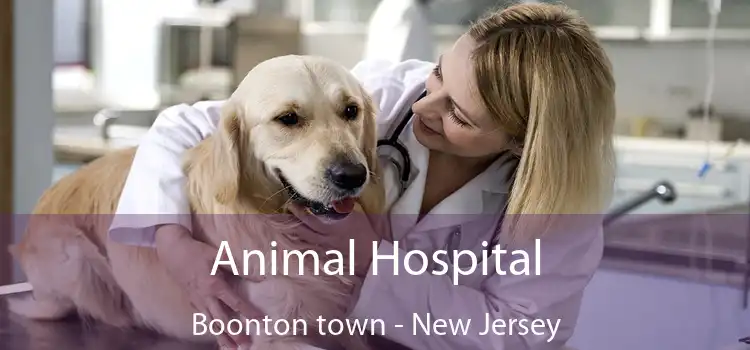 Animal Hospital Boonton town - New Jersey