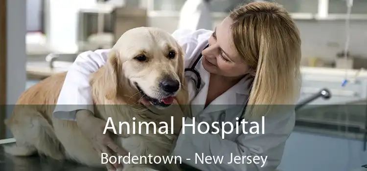 Animal Hospital Bordentown - New Jersey