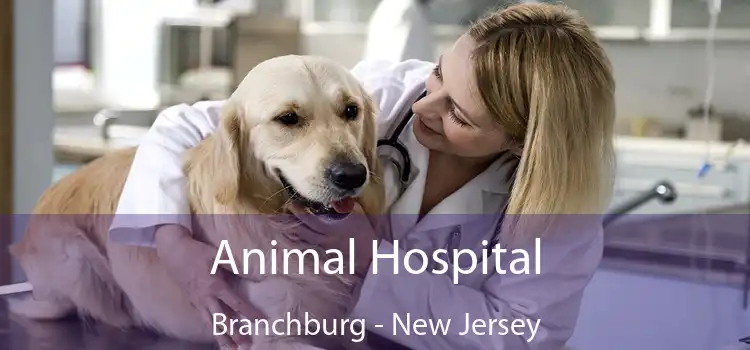 Animal Hospital Branchburg - New Jersey