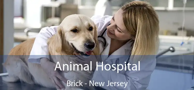 Animal Hospital Brick - New Jersey