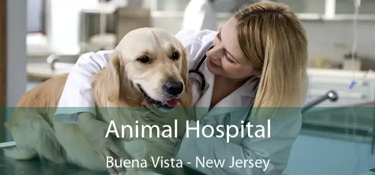 Animal Hospital Buena Vista - New Jersey