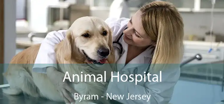 Animal Hospital Byram - New Jersey