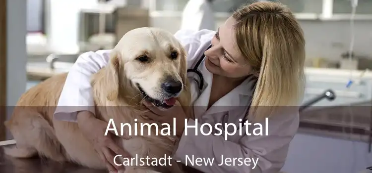 Animal Hospital Carlstadt - New Jersey