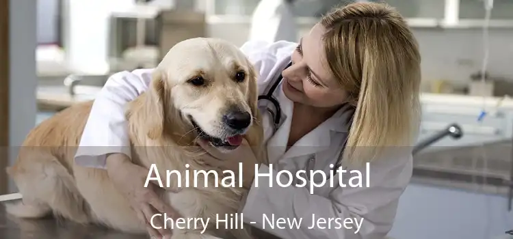 Animal Hospital Cherry Hill - New Jersey