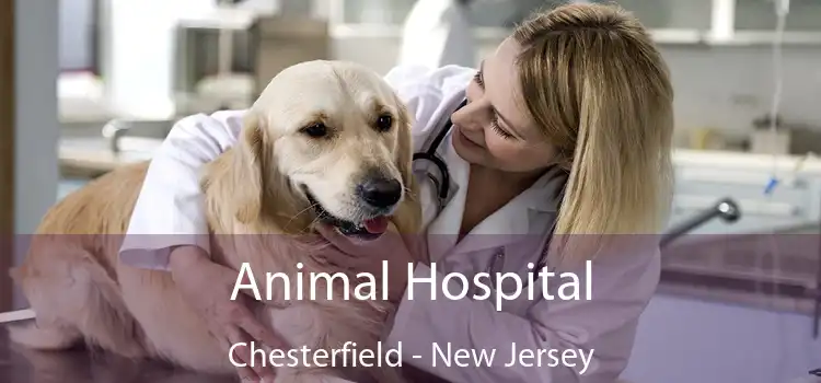 Animal Hospital Chesterfield - New Jersey