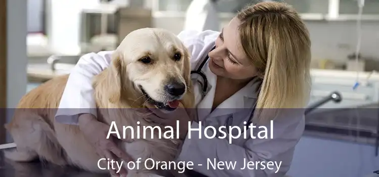 Animal Hospital City of Orange - New Jersey