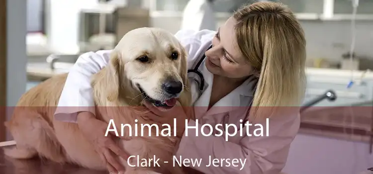 Animal Hospital Clark - New Jersey