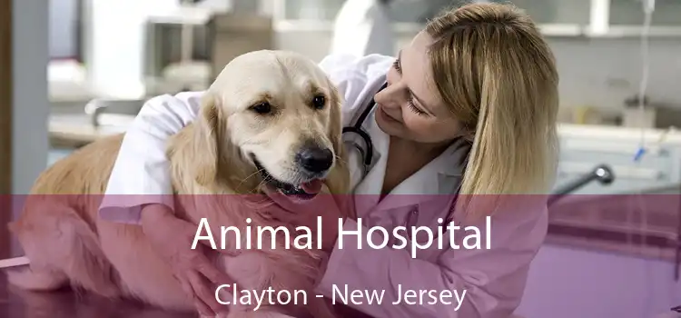 Animal Hospital Clayton - New Jersey