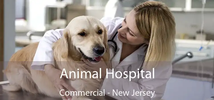 Animal Hospital Commercial - New Jersey