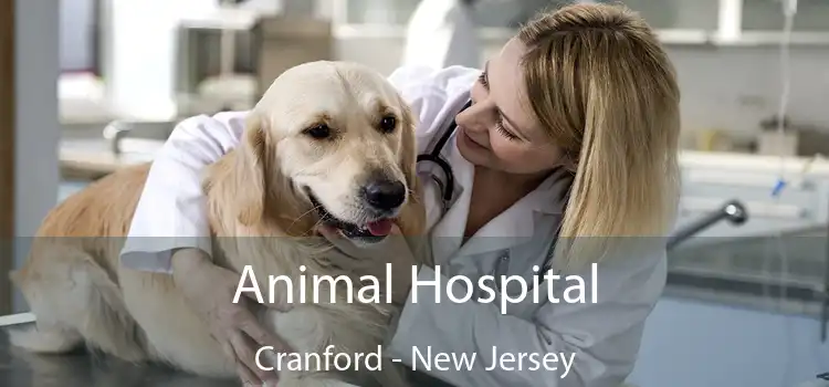 Animal Hospital Cranford - New Jersey