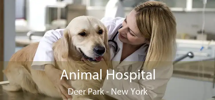 Animal Hospital Deer Park - New York