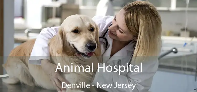 Animal Hospital Denville - New Jersey