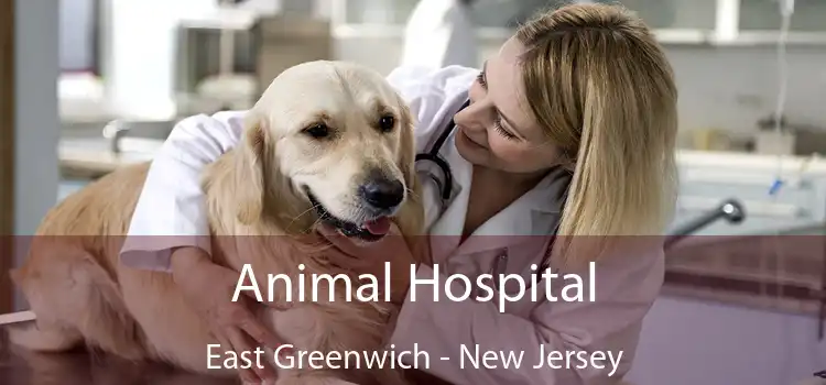 Animal Hospital East Greenwich - New Jersey