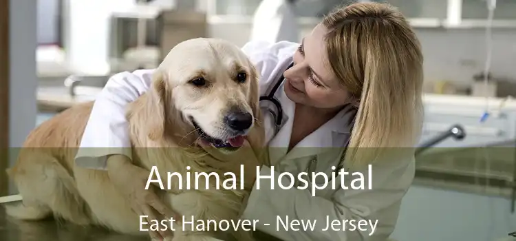 Animal Hospital East Hanover - New Jersey