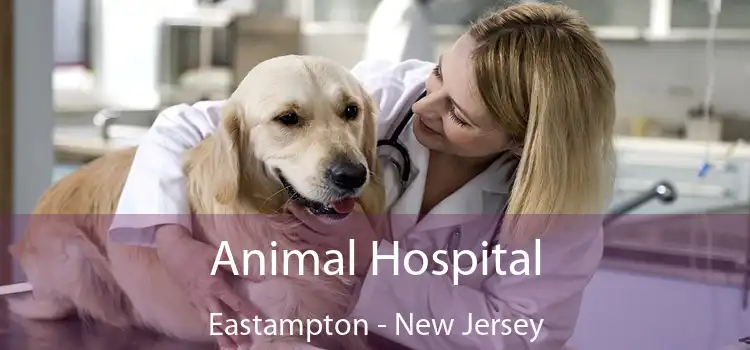 Animal Hospital Eastampton - New Jersey