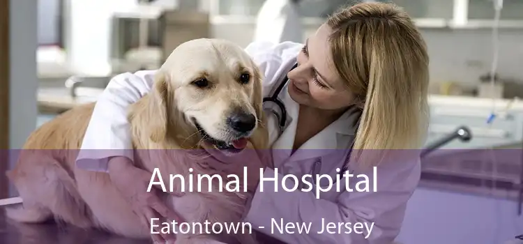 Animal Hospital Eatontown - New Jersey