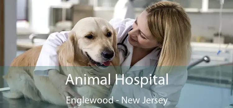 Animal Hospital Englewood - New Jersey