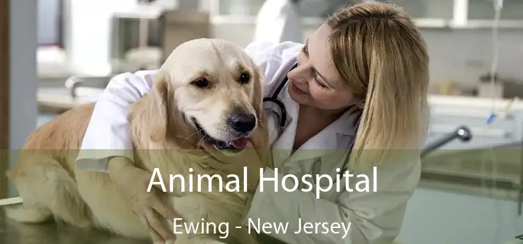 Animal Hospital Ewing - New Jersey