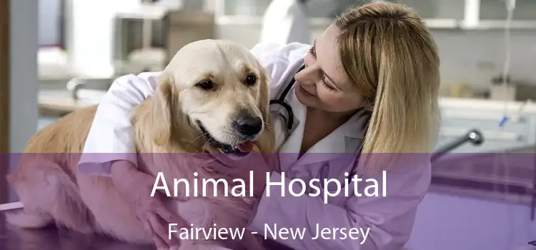 Animal Hospital Fairview - New Jersey