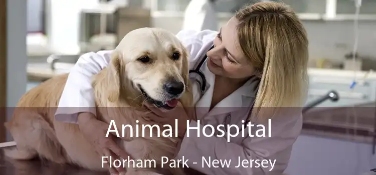 Animal Hospital Florham Park - New Jersey