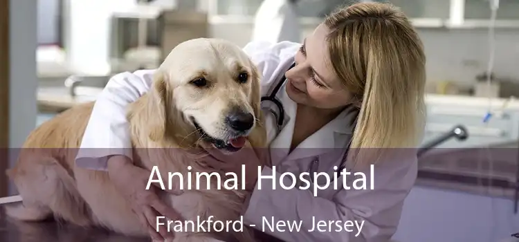 Animal Hospital Frankford - New Jersey