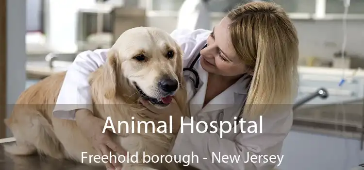 Animal Hospital Freehold borough - New Jersey