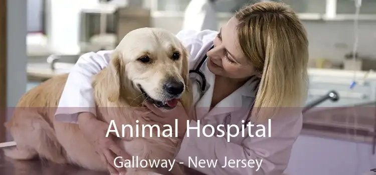 Animal Hospital Galloway - New Jersey