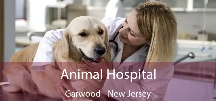 Animal Hospital Garwood - New Jersey