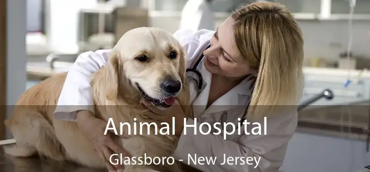 Animal Hospital Glassboro - New Jersey