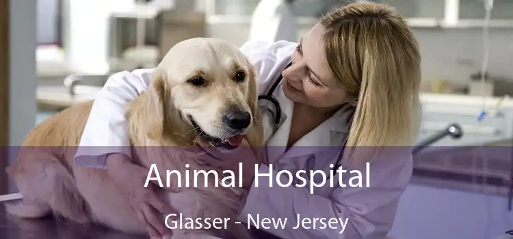 Animal Hospital Glasser - New Jersey