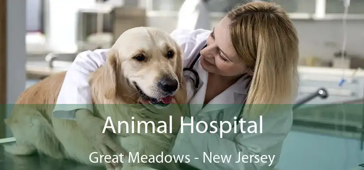 Animal Hospital Great Meadows - New Jersey