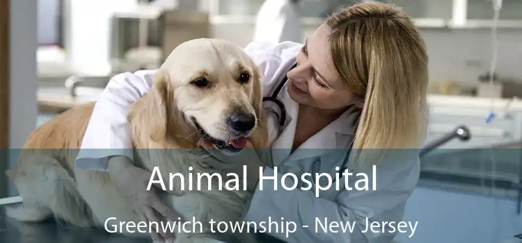 Animal Hospital Greenwich township - New Jersey