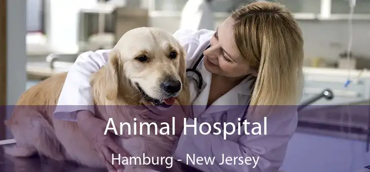 Animal Hospital Hamburg - New Jersey