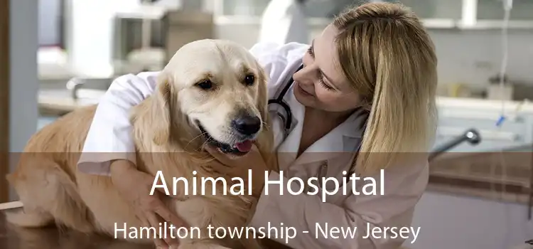 Animal Hospital Hamilton township - New Jersey