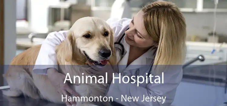 Animal Hospital Hammonton - New Jersey