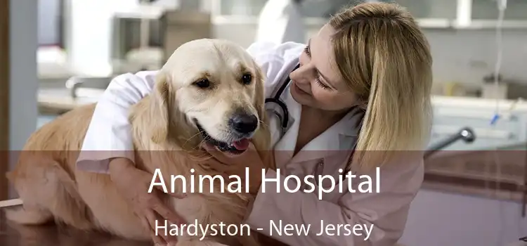 Animal Hospital Hardyston - New Jersey